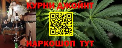 гашик Можга